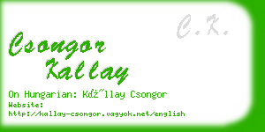 csongor kallay business card
